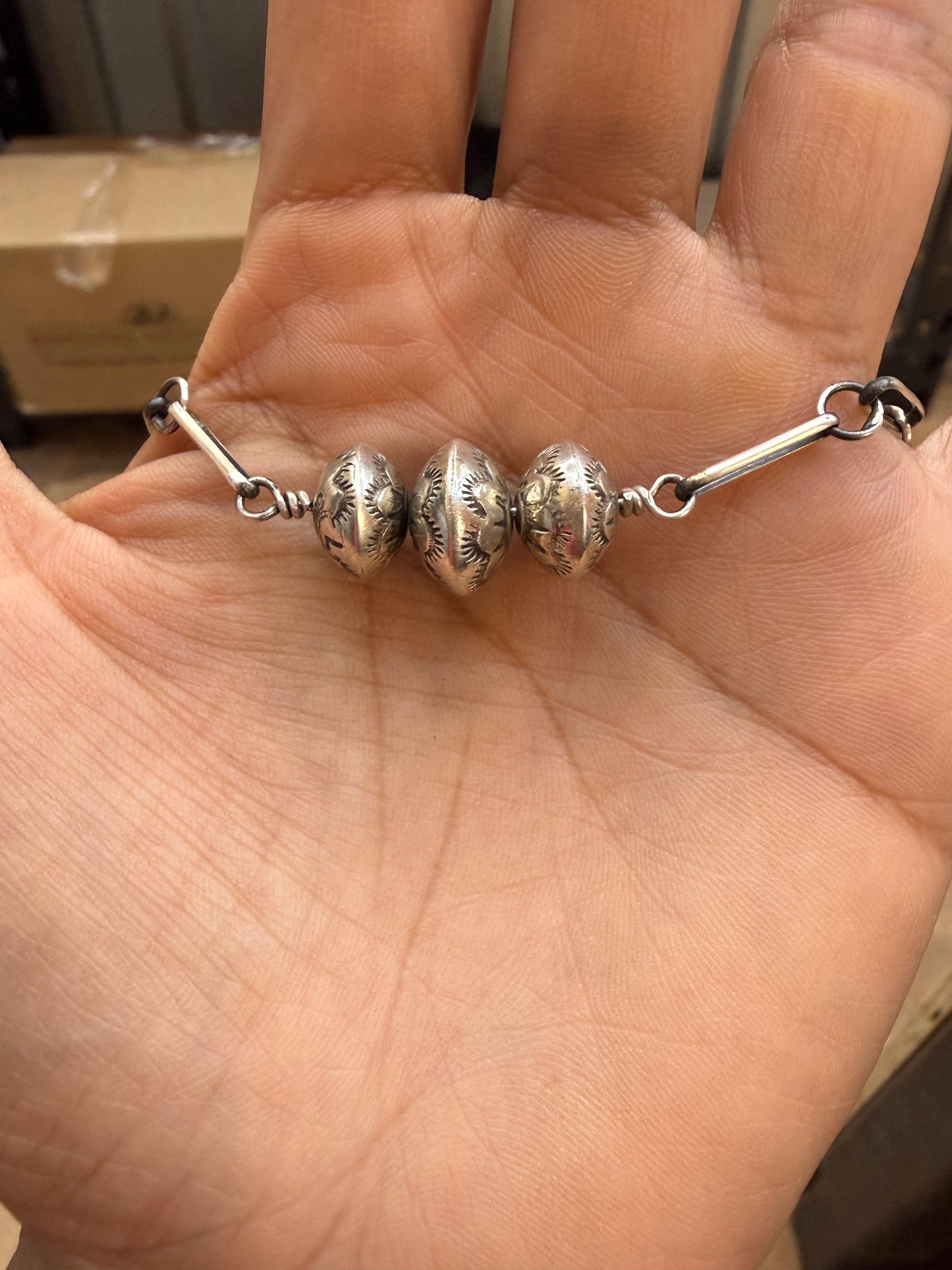 Danielle L tsosie